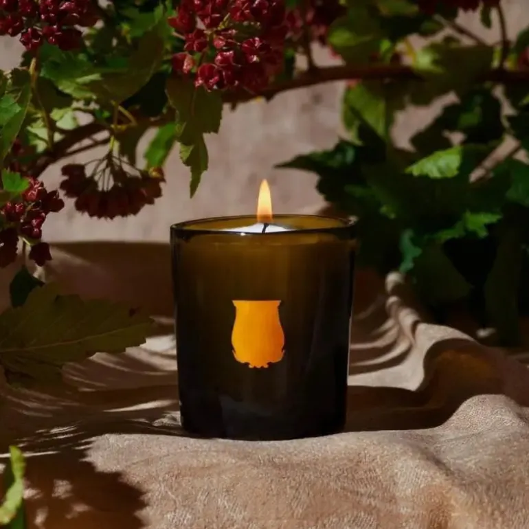 Odalisque Candela - Candela - TRUDON - Official Retailer