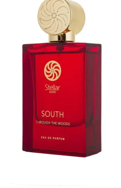 South Through The Woods Stellar